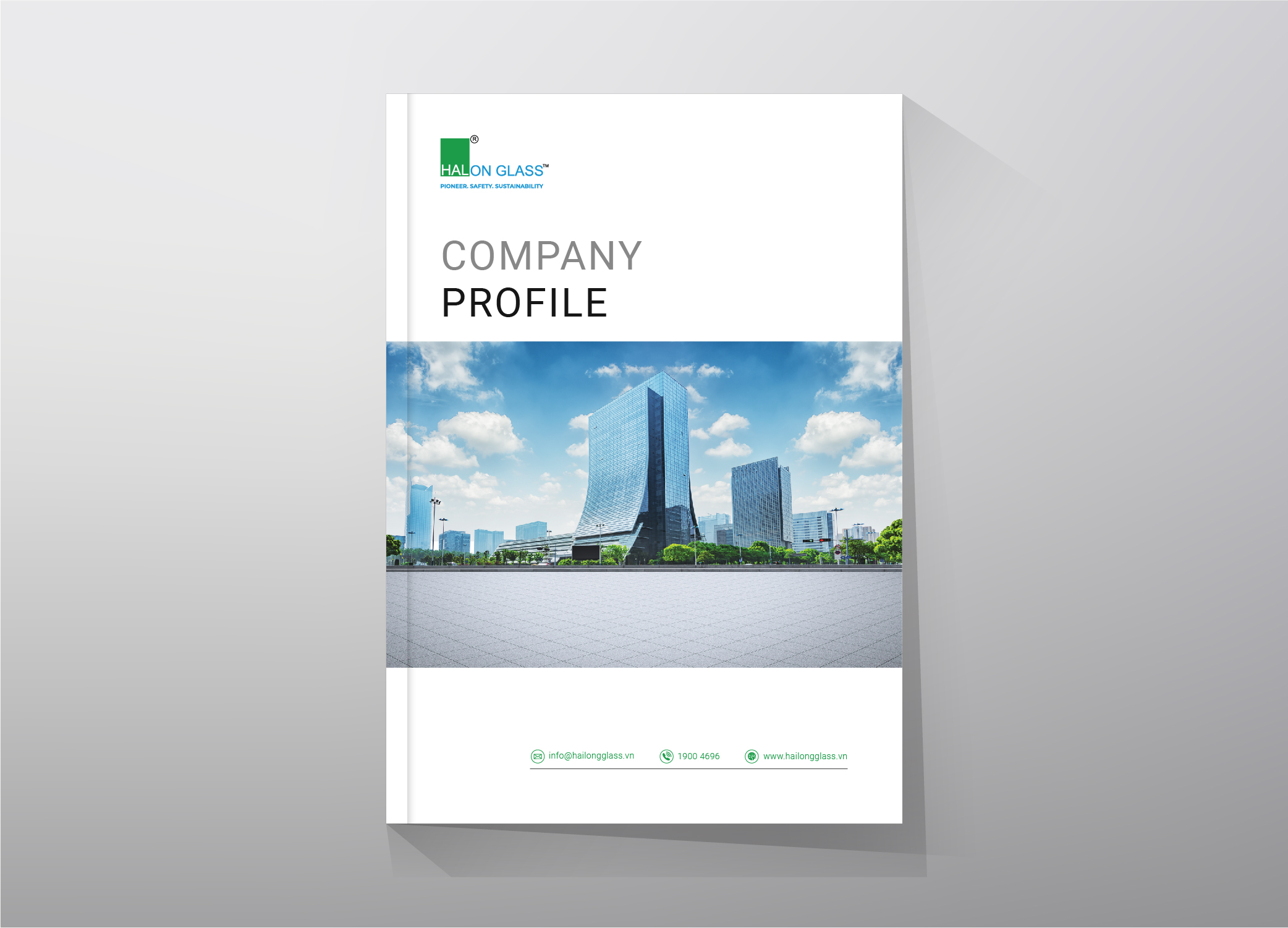 Company profile