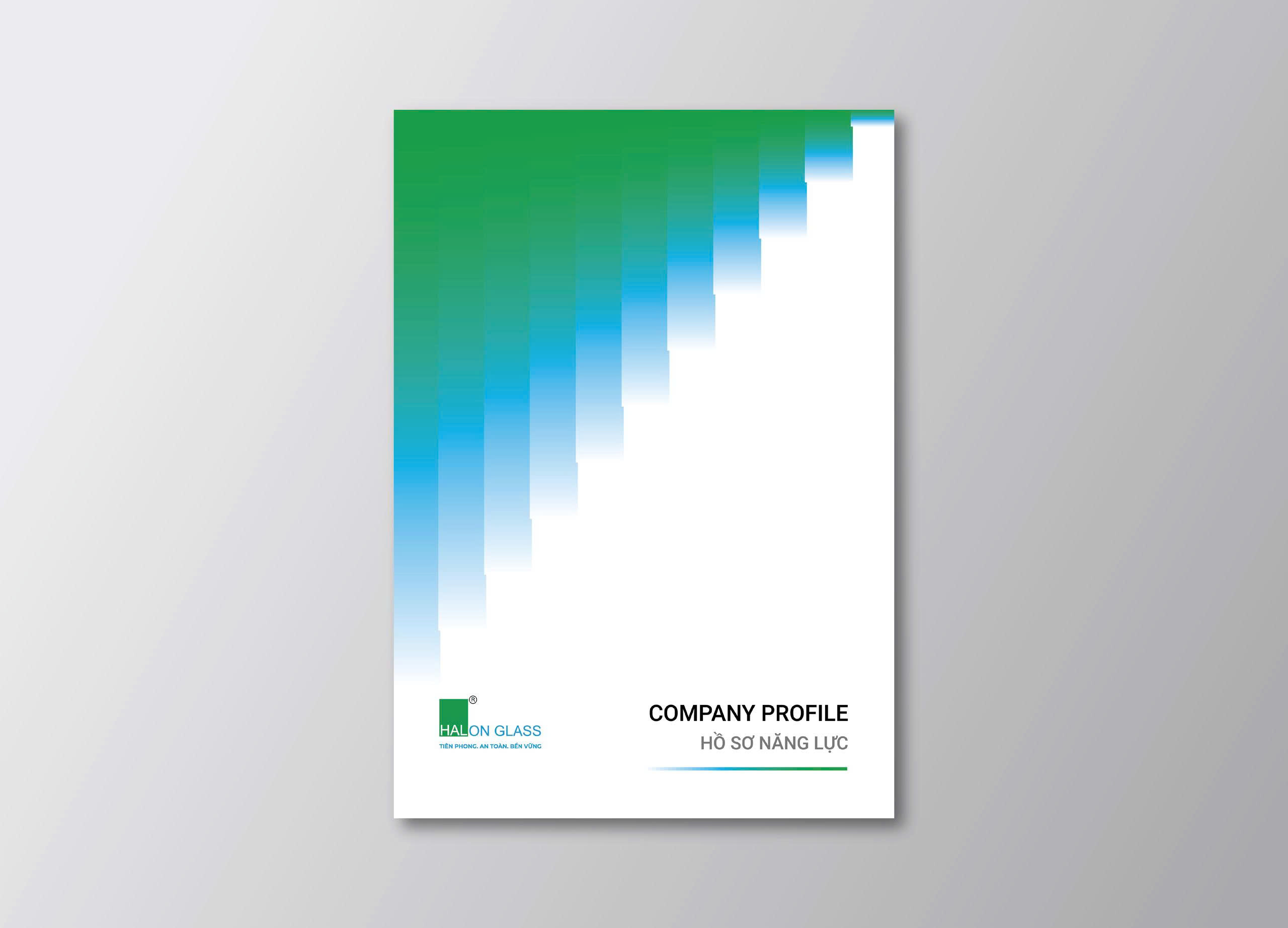 Hồ sơ năng lực