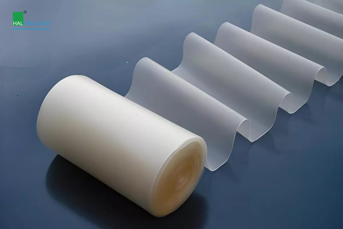 lớp film PVB (1)