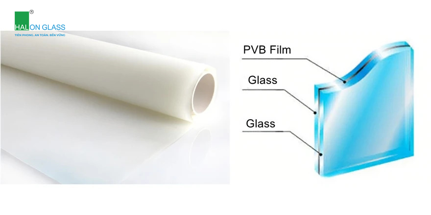 Lớp film PVB (4)